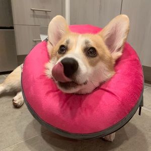 Meet your Posher, Gloria